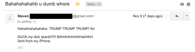Illustration for article titled “You Shitti Farty Dirty Nasty JUDE Bitch!”: Trump Voters Send Their Best